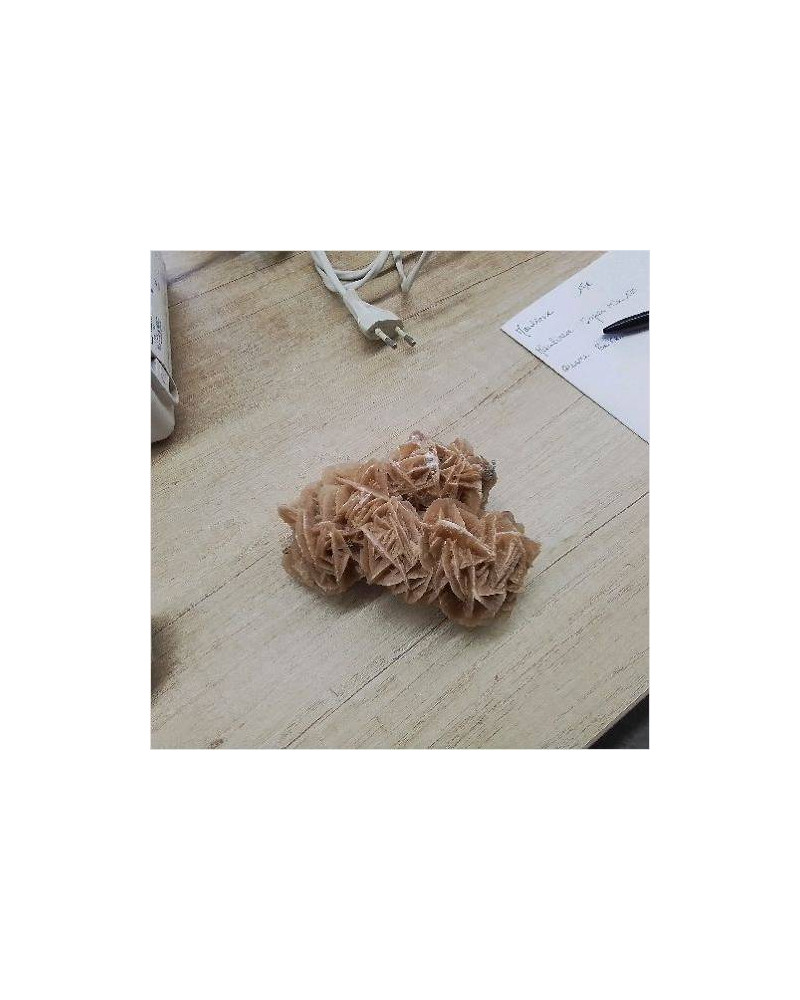 ROSE DES SABLES 