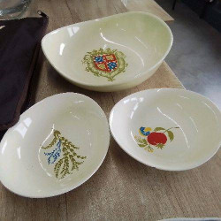 ENSEMBLE DE PLATS SALINS