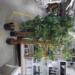 GRANDE PLANTE ARTIFICIELLE 