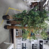 GRANDE PLANTE ARTIFICIELLE 