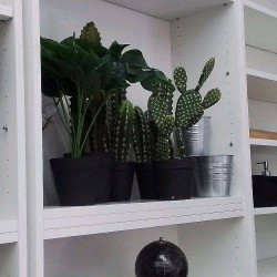 PLANTE ARTIFICIELLE MM