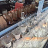 6 CHOPES BIOT