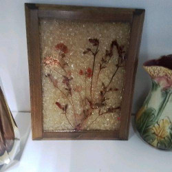 HERBIER RESINE 