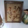 HERBIER RESINE 