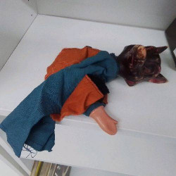 MARIONETTE LOUP PM