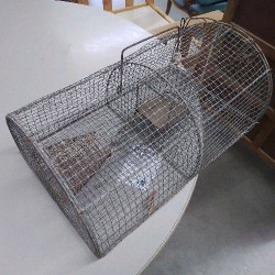 CAGE A SOURIS