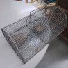 CAGE A SOURIS