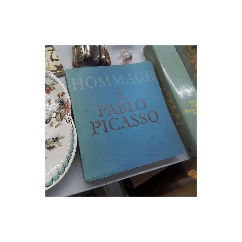 LIVRE HOMMAGE A PICASSO