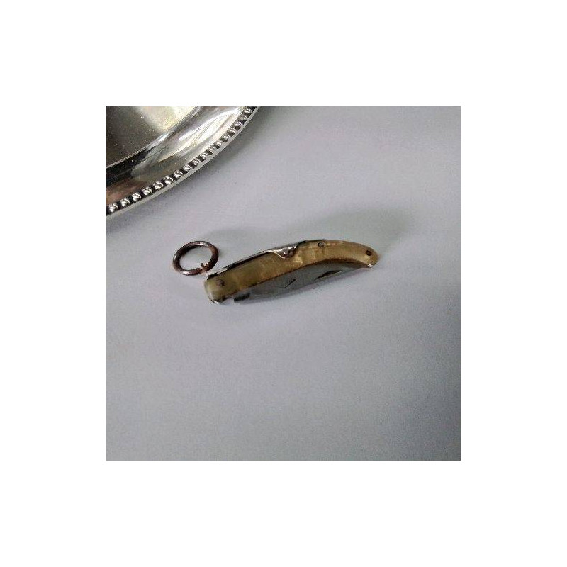 COUTEAU PLIANT CORNE