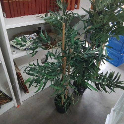 PLANTE ARTIFICIELLE BAMBOU MM