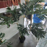 PLANTE ARTIFICIELLE GRANDE FEUILLES MM