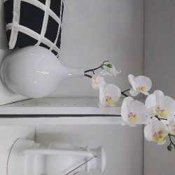 VASE BLANC AVEC ORCHIDÉE 