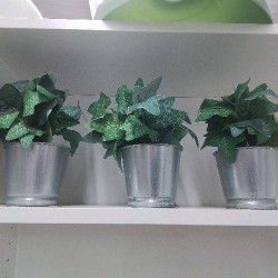 PLANTE ARTIFICIELLE PM AVEC...