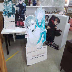GRAND CARTON MANGA 