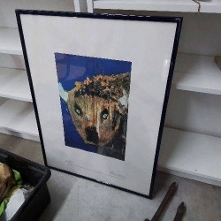 LITHOGRAPHIE C MEYER