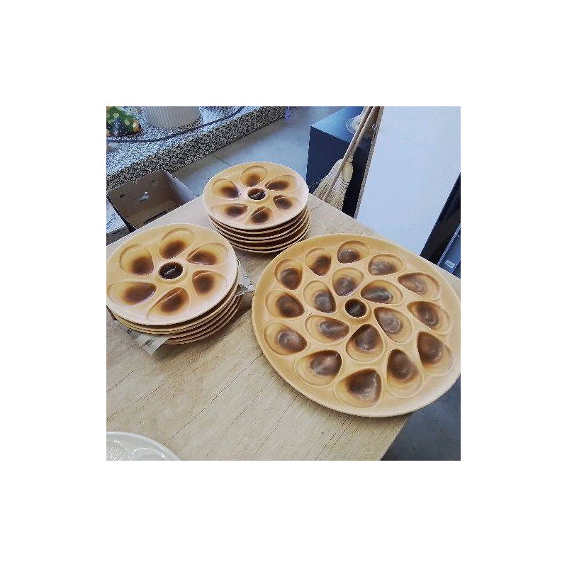 SERVICE SALINS 12 ASSIETTES 1 PLAT