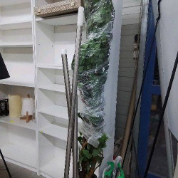 PLANTE XXL