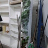 PLANTE XXL