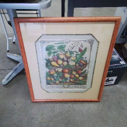 GRAVURE FRUIT DE SAISON 