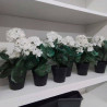 FLEURS ARTIFICIELLES BLANCHES 