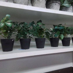 MINI PLANTE ARTIFICIELLE...