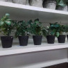 MINI PLANTE ARTIFICIELLE POT NOIR