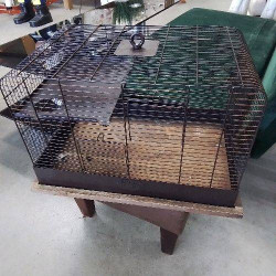 CAGE NOIRE